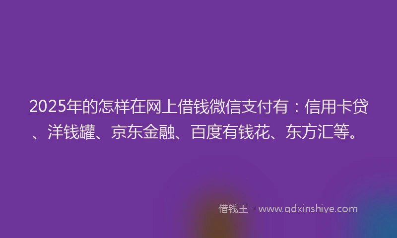 2025年的怎样在网上借钱微信支付有：信用卡贷、洋钱罐、京东金融、百度有钱花、东方汇等。