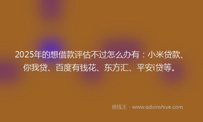 2025年的想借款评估不过怎么办有：小米贷款、你我贷、百度有钱花、东方汇、平安i贷等。