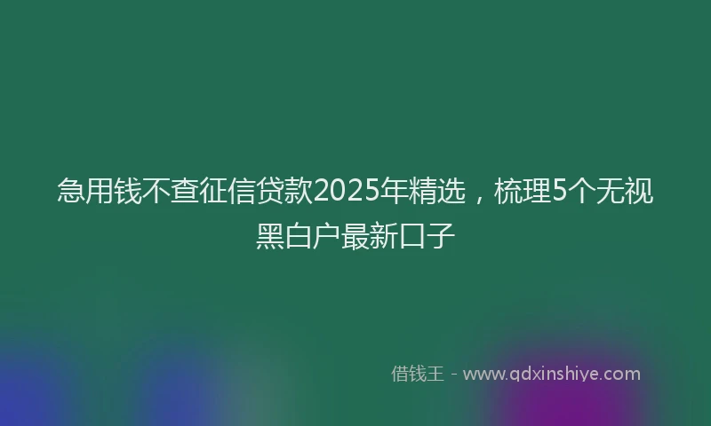 急用钱不查征信贷款2025年精选，梳理5个无视黑白户最新口子