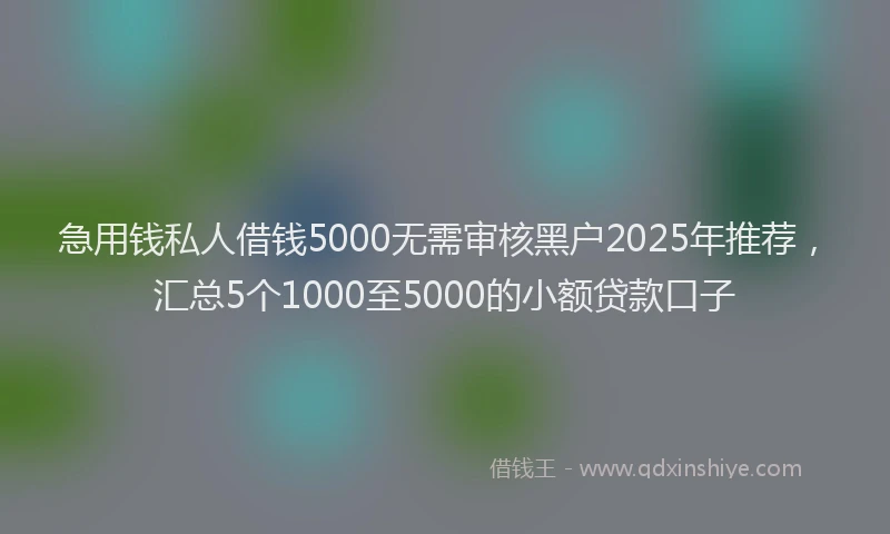 急用钱私人借钱5000无需审核黑户2025年推荐，汇总5个1000至5000的小额贷款口子