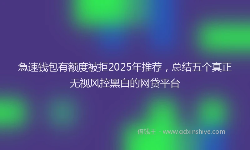 急速钱包有额度被拒2025年推荐，总结五个真正无视风控黑白的网贷平台