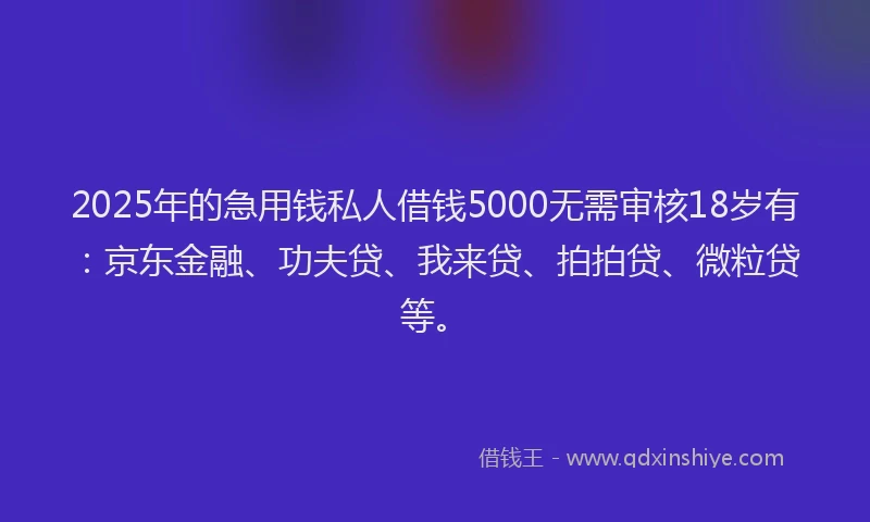 2025年的急用钱私人借钱5000无需审核18岁有：京东金融、功夫贷、我来贷、拍拍贷、微粒贷等。