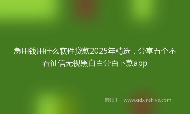 急用钱用什么软件贷款2025年精选，分享五个不看征信无视黑白百分百下款app
