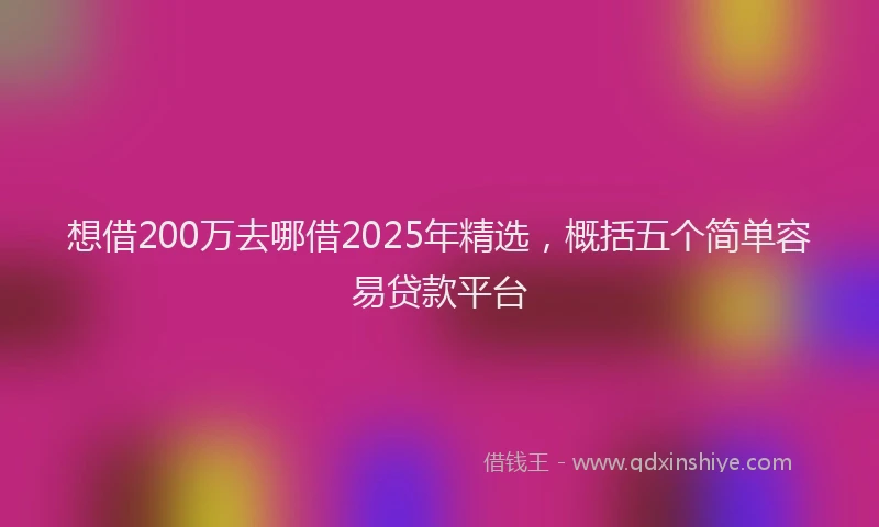 想借200万去哪借2025年精选，概括五个简单容易贷款平台