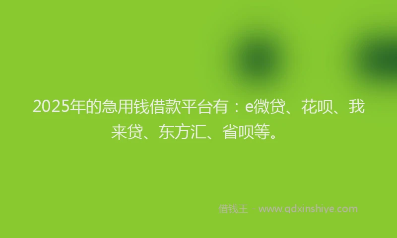 2025年的急用钱借款平台有：e微贷、花呗、我来贷、东方汇、省呗等。