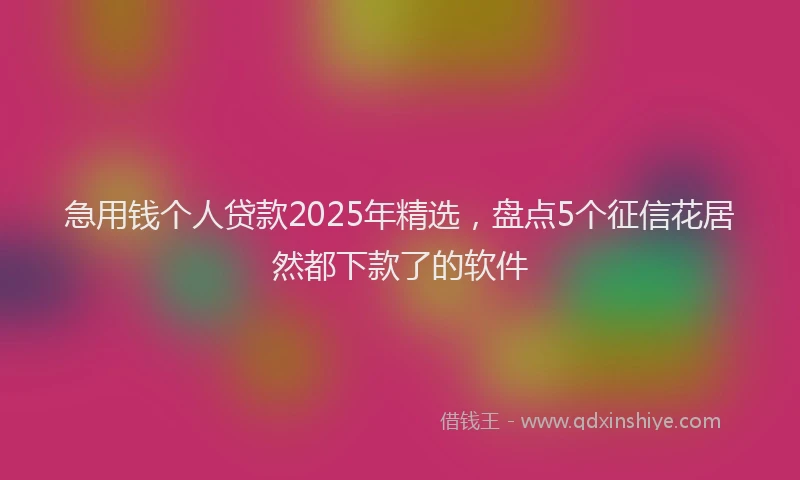 急用钱个人贷款2025年精选，盘点5个征信花居然都下款了的软件