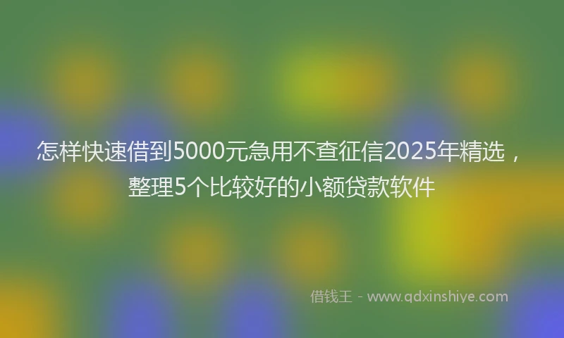 怎样快速借到5000元急用不查征信2025年精选，整理5个比较好的小额贷款软件