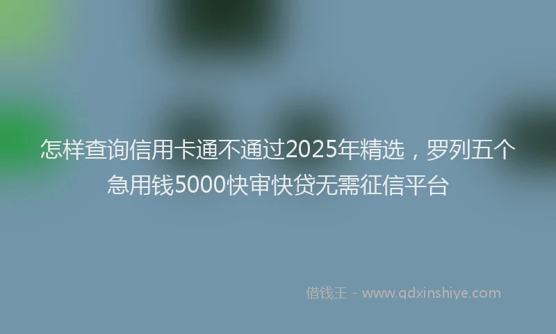 怎样查询信用卡通不通过2025年精选，罗列五个急用钱5000快审快贷无需征信平台
