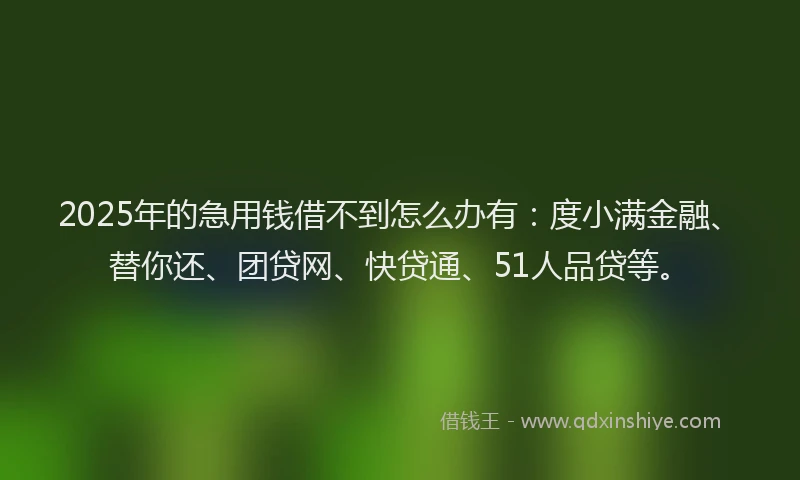 2025年的急用钱借不到怎么办有：度小满金融、替你还、团贷网、快贷通、51人品贷等。