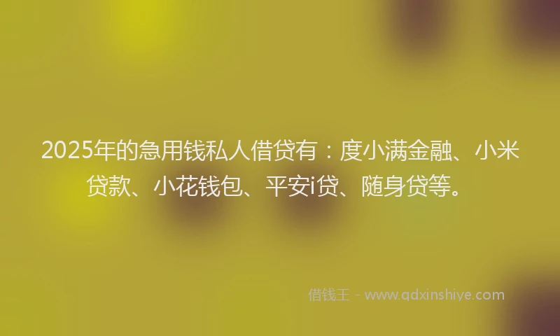 2025年的急用钱私人借贷有：度小满金融、小米贷款、小花钱包、平安i贷、随身贷等。