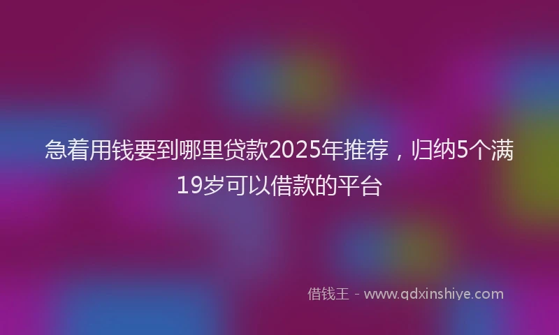 急着用钱要到哪里贷款2025年推荐，归纳5个满19岁可以借款的平台