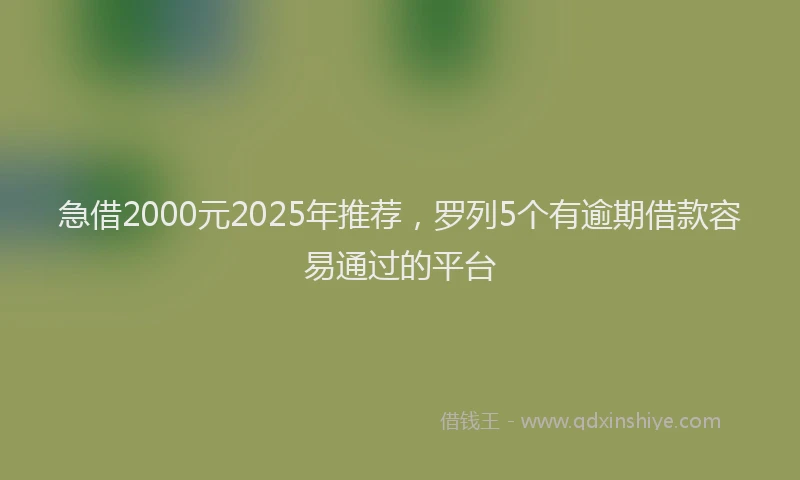 急借2000元2025年推荐，罗列5个有逾期借款容易通过的平台
