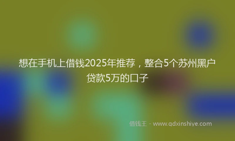 想在手机上借钱2025年推荐，整合5个苏州黑户贷款5万的口子