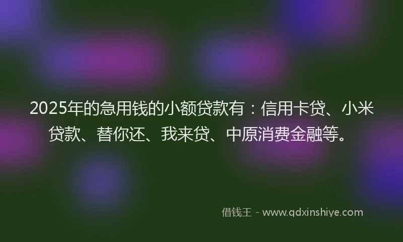 2025年的急用钱的小额贷款有：信用卡贷、小米贷款、替你还、我来贷、中原消费金融等。