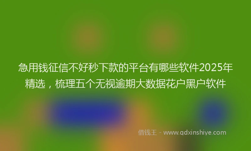急用钱征信不好秒下款的平台有哪些软件2025年精选，梳理五个无视逾期大数据花户黑户软件