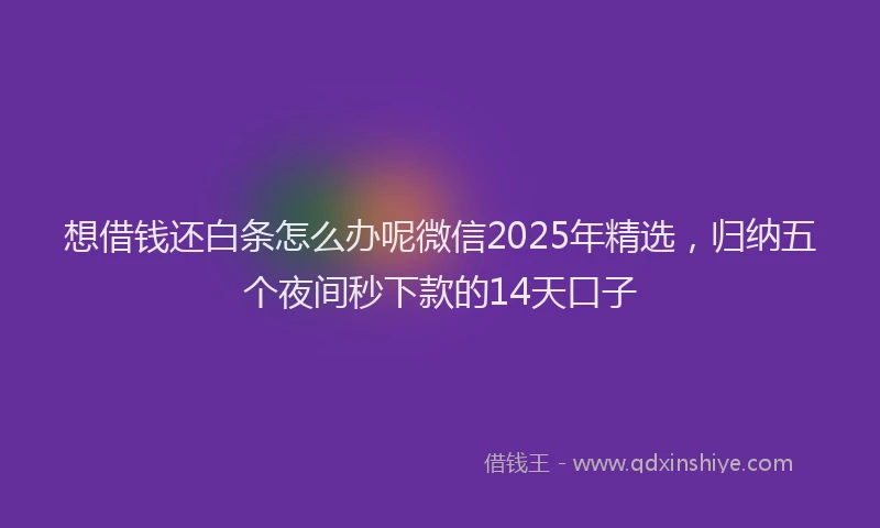想借钱还白条怎么办呢微信2025年精选，归纳五个夜间秒下款的14天口子