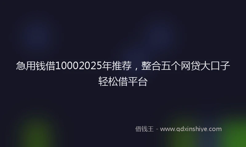 急用钱借10002025年推荐，整合五个网贷大口子轻松借平台