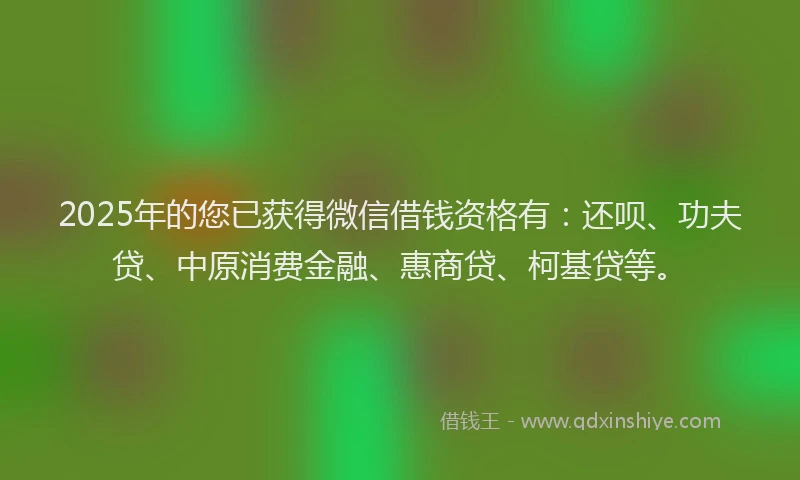 2025年的您已获得微信借钱资格有：还呗、功夫贷、中原消费金融、惠商贷、柯基贷等。