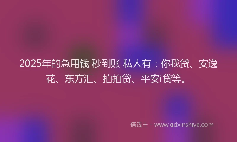 2025年的急用钱 秒到账 私人有：你我贷、安逸花、东方汇、拍拍贷、平安i贷等。