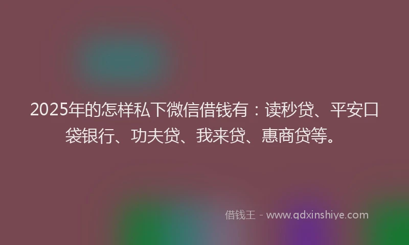2025年的怎样私下微信借钱有：读秒贷、平安口袋银行、功夫贷、我来贷、惠商贷等。