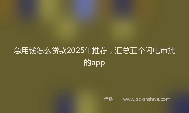 急用钱怎么贷款2025年推荐，汇总五个闪电审批的app