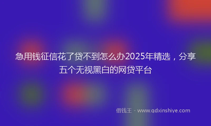 急用钱征信花了贷不到怎么办2025年精选，分享五个无视黑白的网贷平台