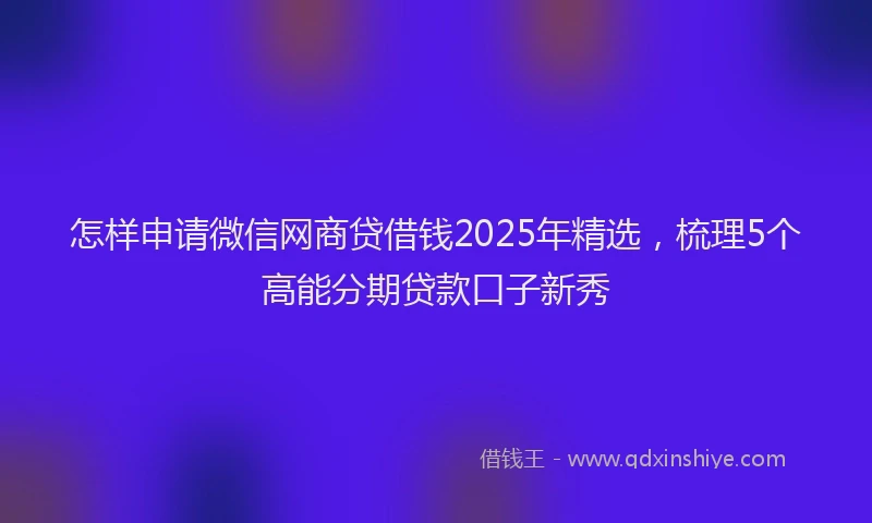 怎样申请微信网商贷借钱2025年精选，梳理5个高能分期贷款口子新秀