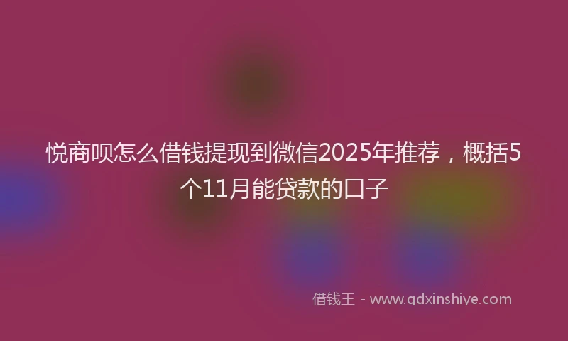 悦商呗怎么借钱提现到微信2025年推荐，概括5个11月能贷款的口子