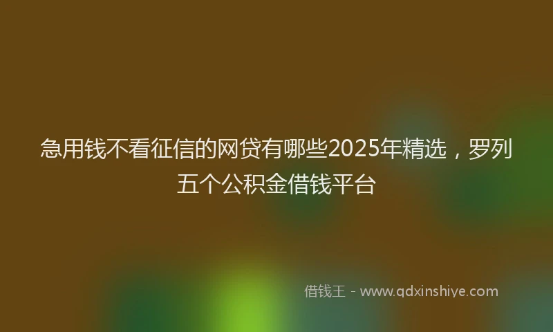 急用钱不看征信的网贷有哪些2025年精选，罗列五个公积金借钱平台