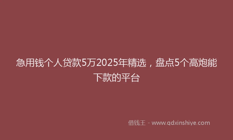 急用钱个人贷款5万2025年精选，盘点5个高炮能下款的平台