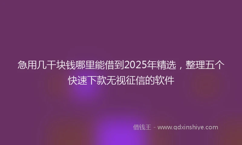 急用几干块钱哪里能借到2025年精选，整理五个快速下款无视征信的软件