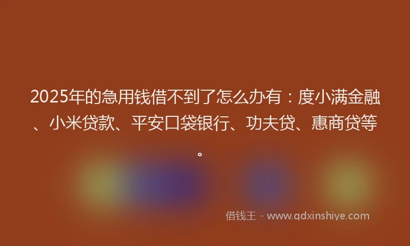 2025年的急用钱借不到了怎么办有：度小满金融、小米贷款、平安口袋银行、功夫贷、惠商贷等。