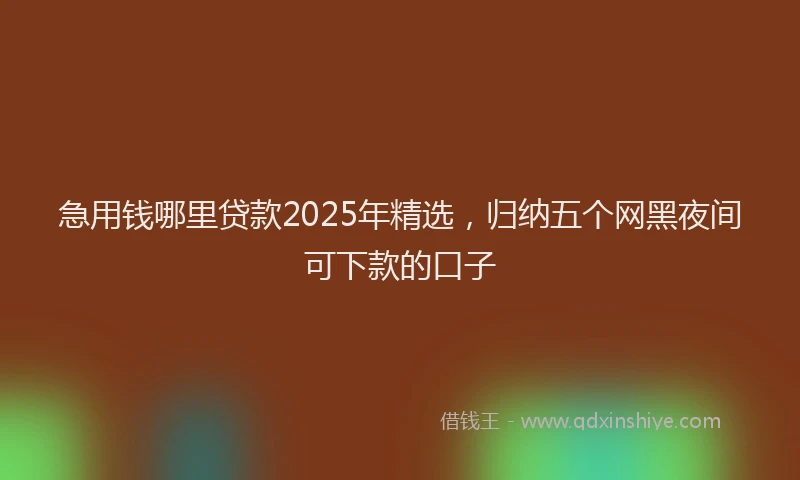急用钱哪里贷款2025年精选，归纳五个网黑夜间可下款的口子