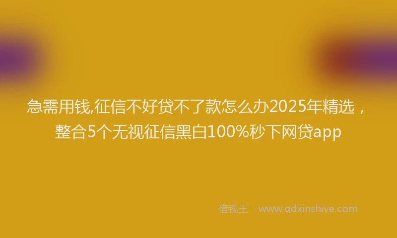 急需用钱,征信不好贷不了款怎么办2025年精选，整合5个无视征信黑白100%秒下网贷app