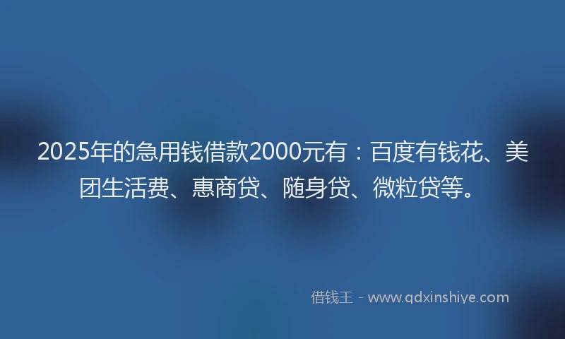 2025年的急用钱借款2000元有：百度有钱花、美团生活费、惠商贷、随身贷、微粒贷等。
