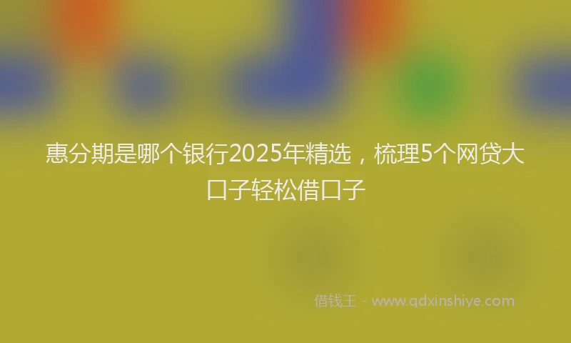 惠分期是哪个银行2025年精选，梳理5个网贷大口子轻松借口子