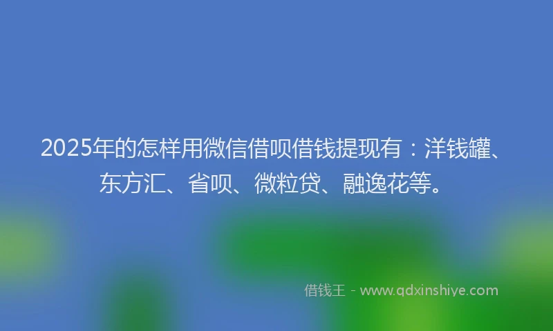 2025年的怎样用微信借呗借钱提现有：洋钱罐、东方汇、省呗、微粒贷、融逸花等。