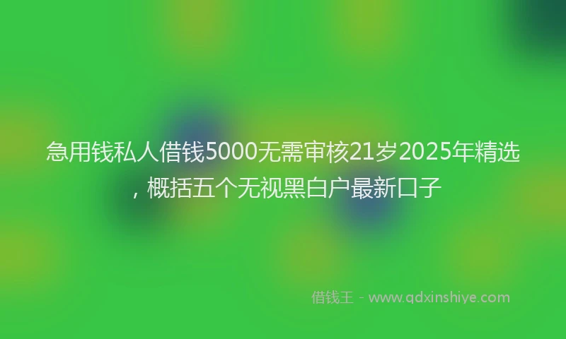 急用钱私人借钱5000无需审核21岁2025年精选，概括五个无视黑白户最新口子