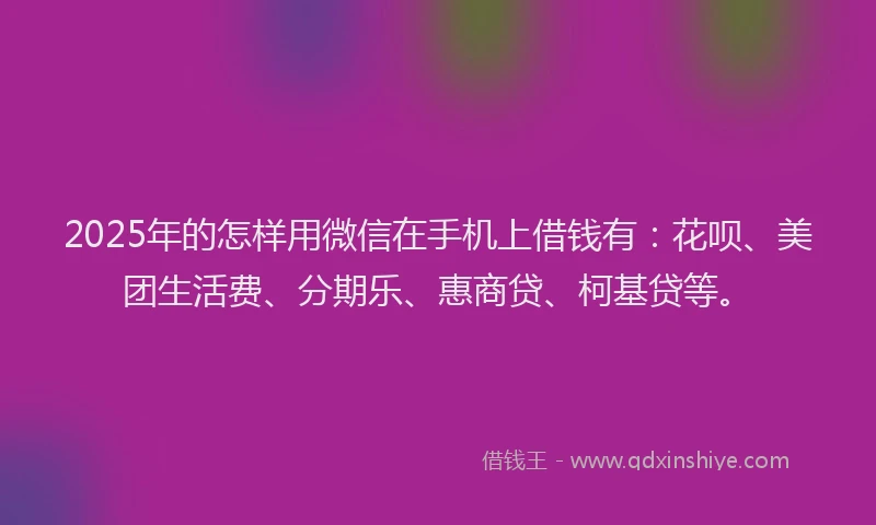 2025年的怎样用微信在手机上借钱有：花呗、美团生活费、分期乐、惠商贷、柯基贷等。