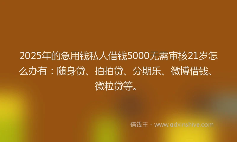2025年的急用钱私人借钱5000无需审核21岁怎么办有：随身贷、拍拍贷、分期乐、微博借钱、微粒贷等。