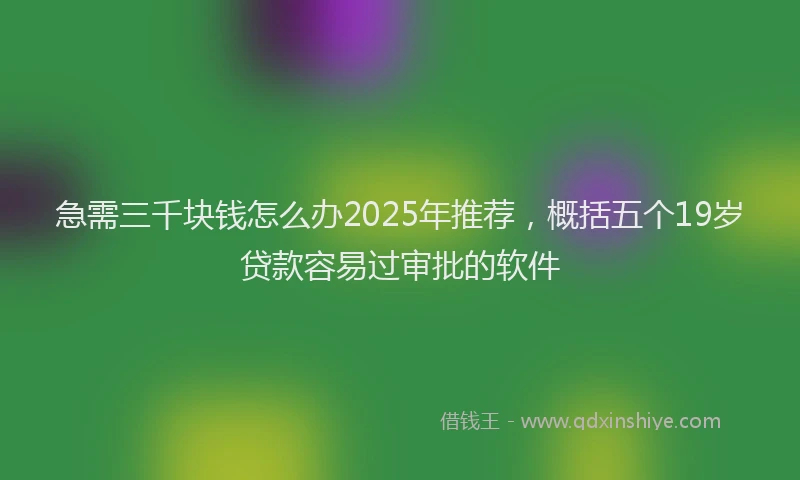 急需三千块钱怎么办2025年推荐，概括五个19岁贷款容易过审批的软件