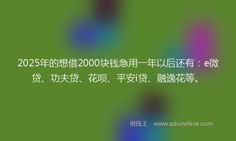 2025年的想借2000块钱急用一年以后还有：e微贷、功夫贷、花呗、平安i贷、融逸花等。