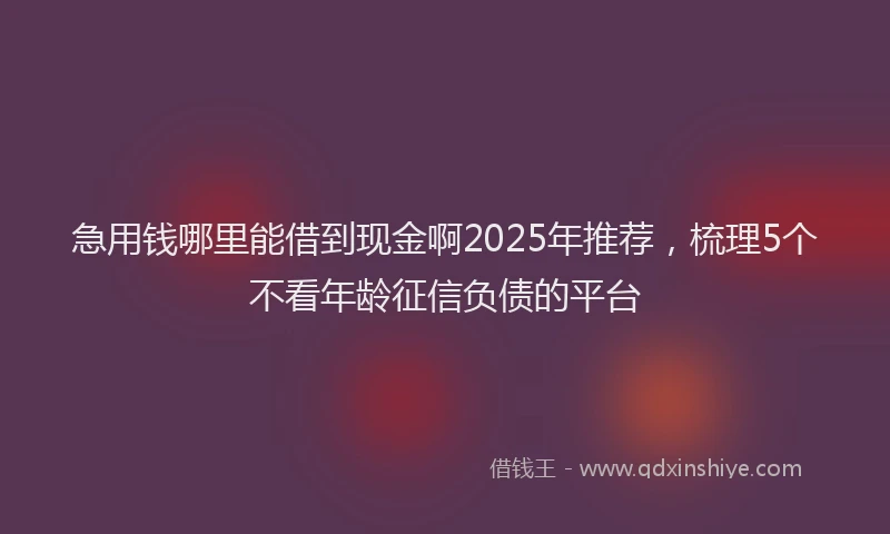 急用钱哪里能借到现金啊2025年推荐，梳理5个不看年龄征信负债的平台