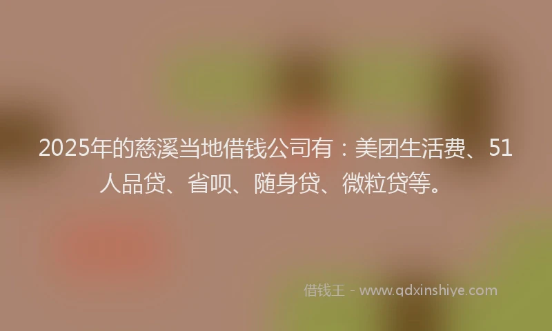 2025年的慈溪当地借钱公司有：美团生活费、51人品贷、省呗、随身贷、微粒贷等。