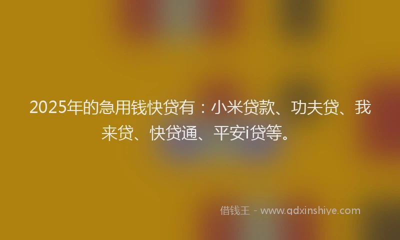 2025年的急用钱快贷有：小米贷款、功夫贷、我来贷、快贷通、平安i贷等。