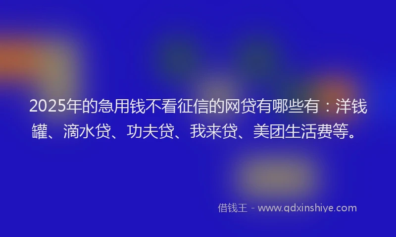 2025年的急用钱不看征信的网贷有哪些有：洋钱罐、滴水贷、功夫贷、我来贷、美团生活费等。