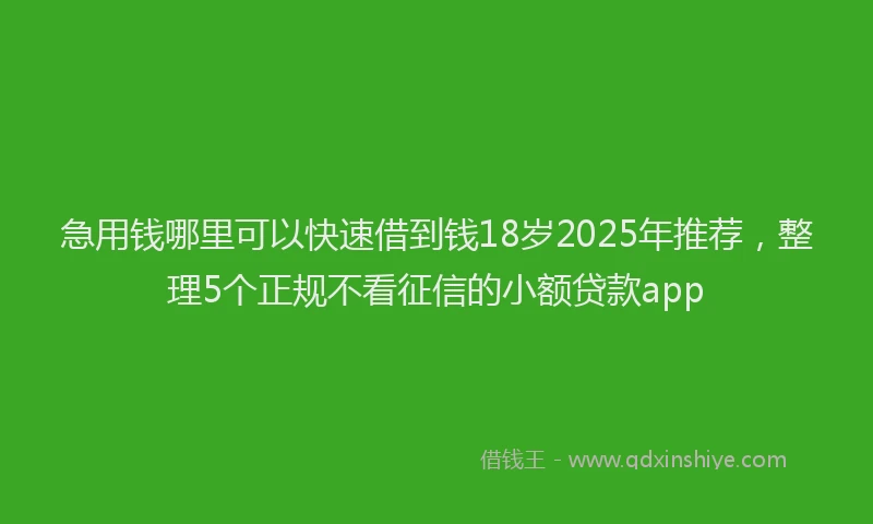 急用钱哪里可以快速借到钱18岁2025年推荐，整理5个正规不看征信的小额贷款app