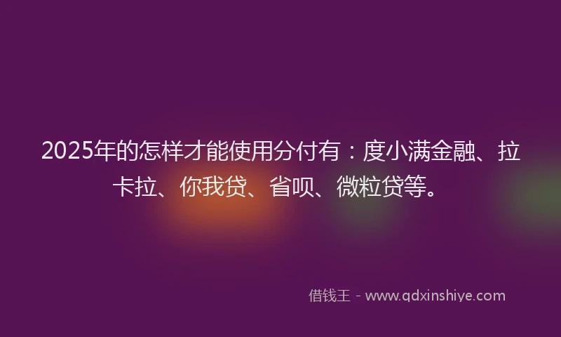 2025年的怎样才能使用分付有：度小满金融、拉卡拉、你我贷、省呗、微粒贷等。
