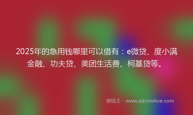 2025年的急用钱哪里可以借有：e微贷、度小满金融、功夫贷、美团生活费、柯基贷等。