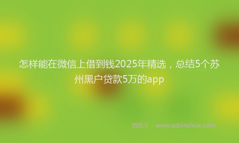 怎样能在微信上借到钱2025年精选，总结5个苏州黑户贷款5万的app